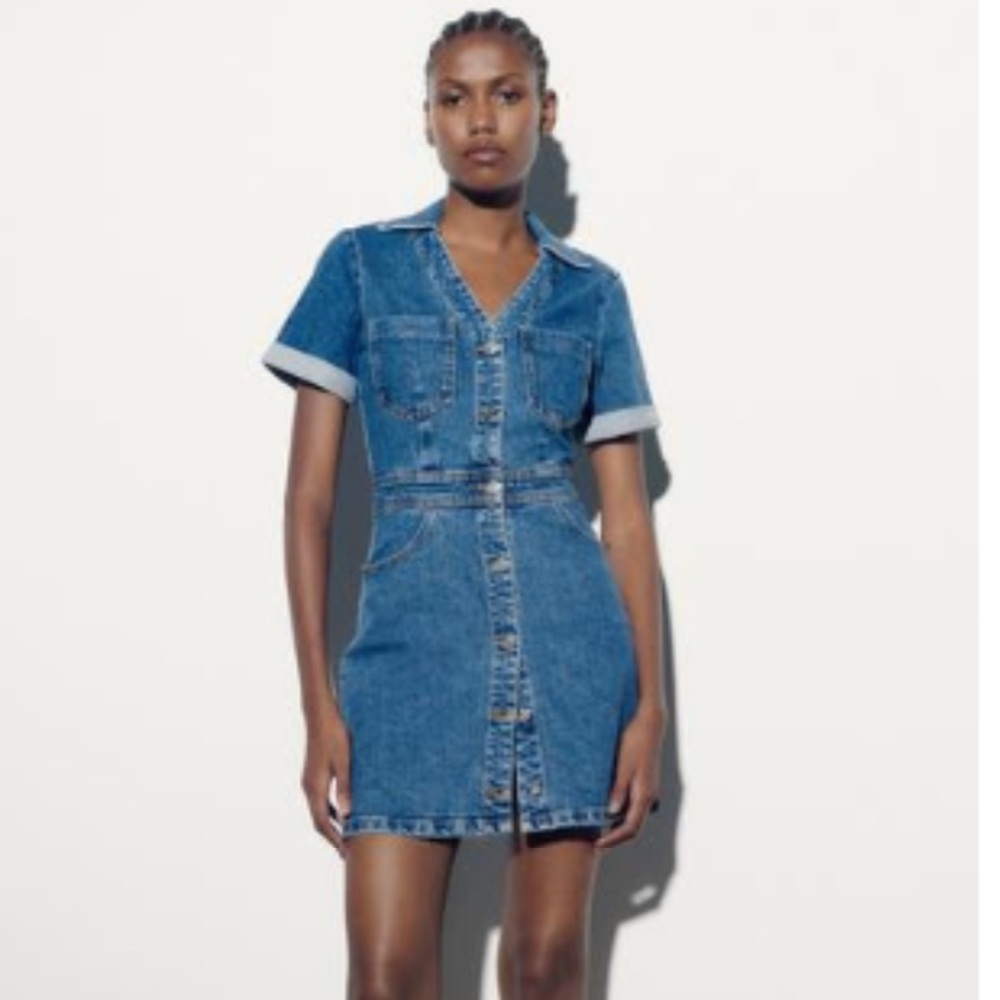 Zara Denim Button-Up Dress - Picture 2 of 9